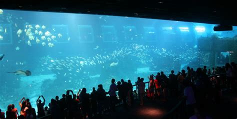 Sentosa Sea Aquarium Singapore | Gary | Flickr