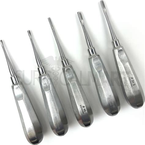 10 Pcs Dental Elevators Set Extraction Surgical Instruments