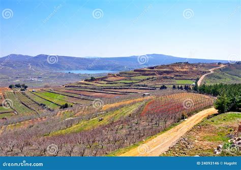 Israel Landscape stock photo. Image of ground, garden - 24093146