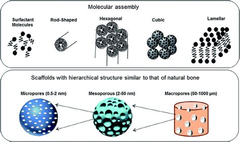 Recent advances and future perspectives of sol–gel derived porous ...