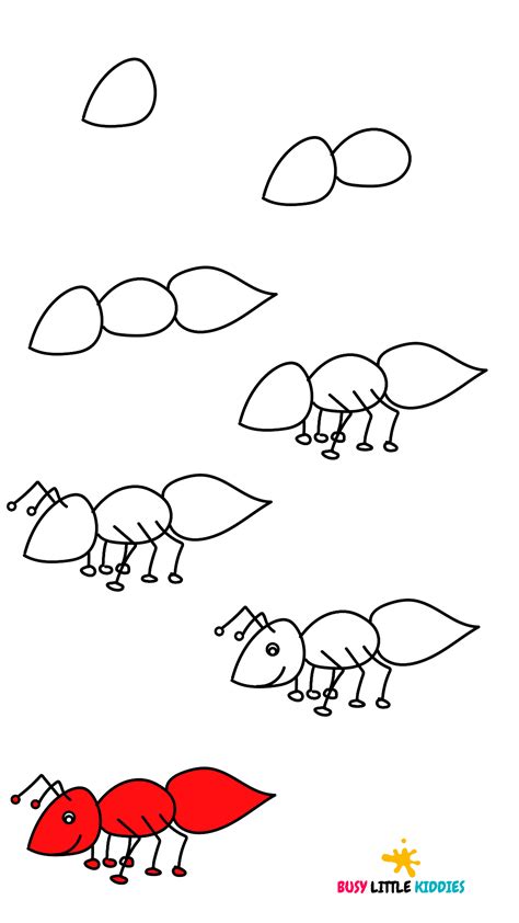 How to Draw an Ant - Step By Step Instructions 1 | Ants, Step by step ...