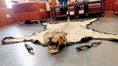 Wildlife products worth Rs 37cr seized during smuggling busts at Siliguri Corridor