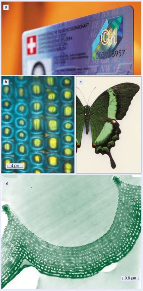 Natural photonics – Physics World