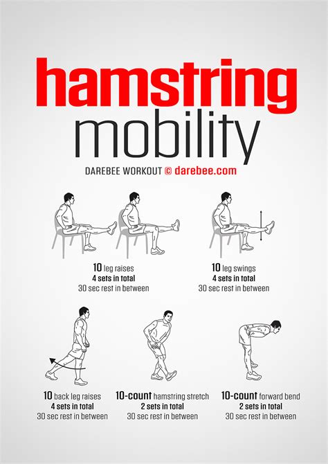 Hamstring Mobility Exercises