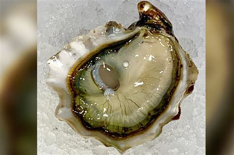 Couple finds ‘once-in-a-lifetime’ pearl in oyster at NJ restaurant