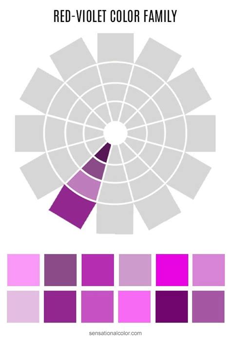 Color Family and Color Variations Red-Violet | Colour wheel theory, Pantone color wheel, Color ...