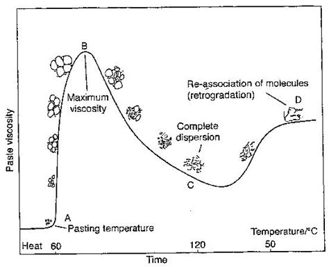 Gelatinization / การเจลาติไนซ์ - Food Wiki | Food Network Solution