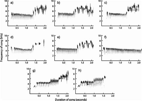 Variation in the trill component between males singing the G dialect,... | Download Scientific ...