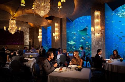 5 Best Restaurants and Steakhouse Dubai