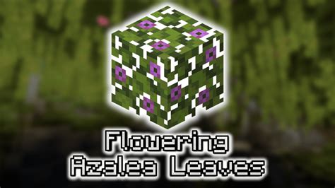 Flowering Azalea Leaves - Wiki Guide - 9Minecraft.Net