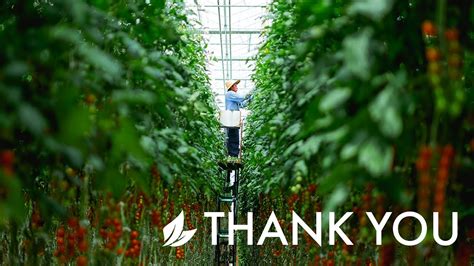 Thank You to The Farm Workers – The Fresh Food Heroes - YouTube