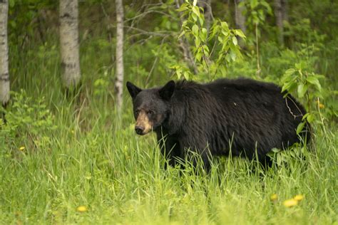 Prince Albert National Park | Tourism Saskatchewan