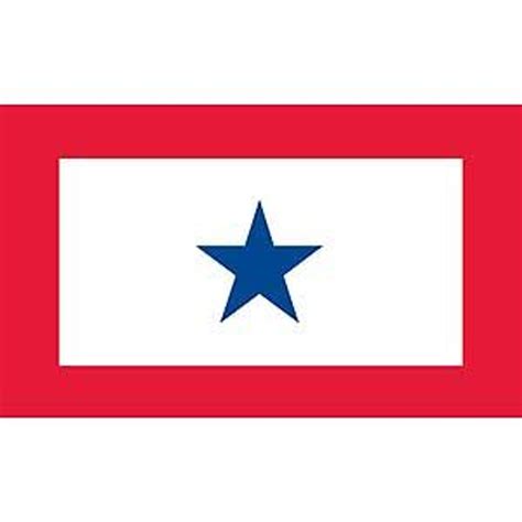 Blue Star Member in Service 12inchx18inch Flag - Meach's Military Memorabilia & More