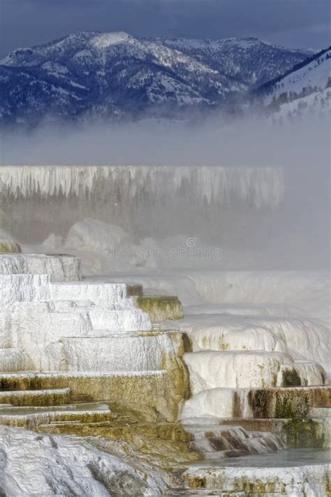 Winter, Mammoth Hot Springs, Yellowstone NP Stock Image - Image of ...