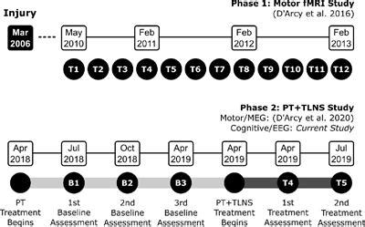 Frontiers | Brain Vital Signs Detect Cognitive Improvements During Combined Physical Therapy and ...