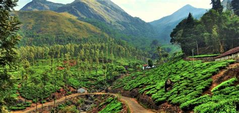 Chembra Peak Wayanad Chembra Peak Travel Information - Chembra Peak Kerala