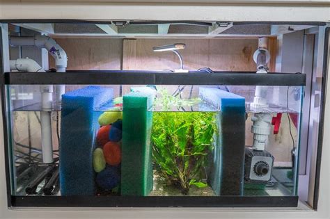 Detailed information on a freshwater sump (plus bonus DIY stand) | Diy ...