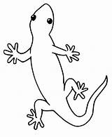A Simple Gecko Coloring Page  Free Printable Pages For Kids sketch template