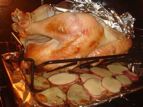 Best Roasting Rack for Turkey - The Kitchen Professor