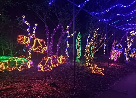 Beautiful Christmas Display In Alabama: Magic Christmas In Lights