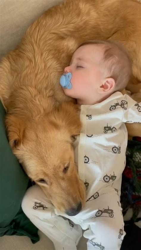 Cute dog sleeping with baby | Cute dogs, Cute baby animals, Dogs and kids