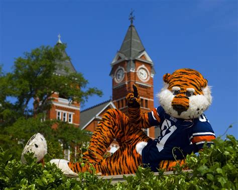 sorry, you just can't beat this cool cat :) Auburn Game, Auburn Tigers ...