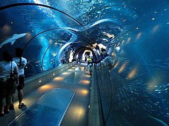 Oregon Coast Aquarium - Wikipedia