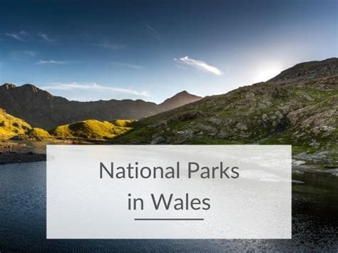 The Amazing National Parks in Wales to Visit with Kids - Wales With Kids