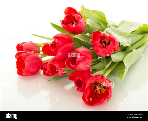 Bunch of tulips Stock Photo - Alamy