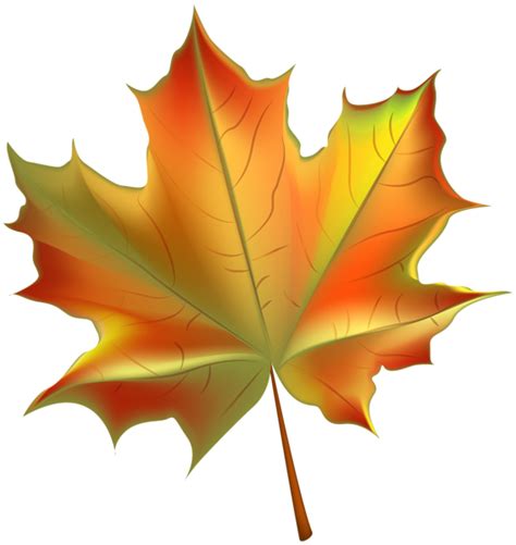 Autumn Leaves, Art Images, Clip Art, Creations, Homemade, - Autumn Leaf Clipart Transparent ...