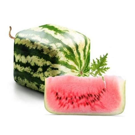 50 Pcs Rare Square Watermelon Seeds Healthy Fruit Home Garden Plant S128 800001017072 | eBay