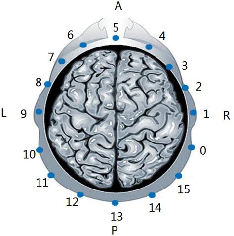 Frontiers | Exploratory study of a multifrequency EIT-based method for ...