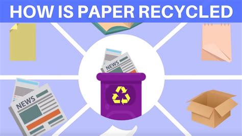 How is Paper Recycled? Waste Paper Recycling Process | Recyling for kids | Paper Recycling for ...