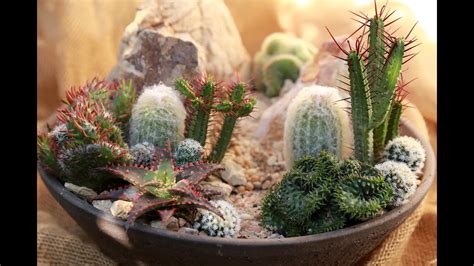 Make a Mini High Desert Succulent Garden - YouTube