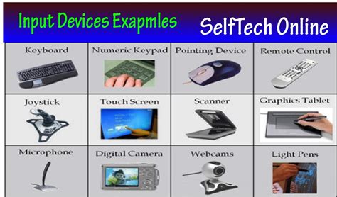 20 Examples Of Input Devices
