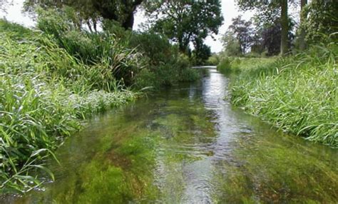 Wensum - Broads Angling Services Group