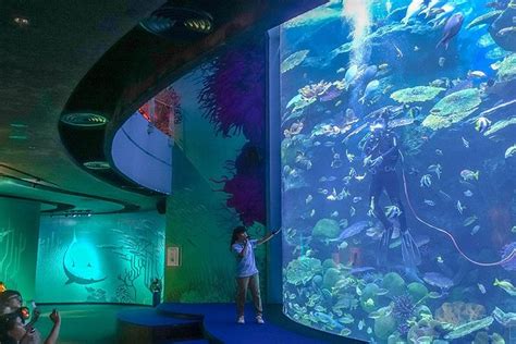 Bangkok Sea Life Aquarium 2022 - Viator