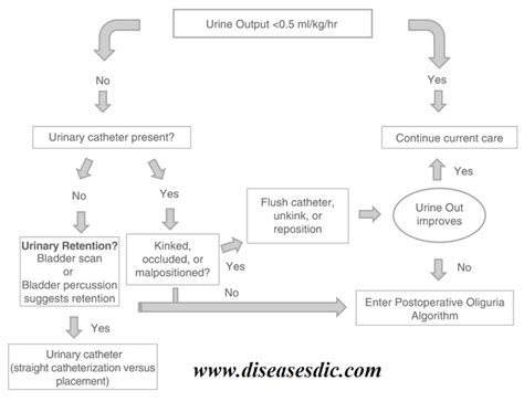 Anuria - Definitions, Causes, Symptoms, Treatment - The Thesis