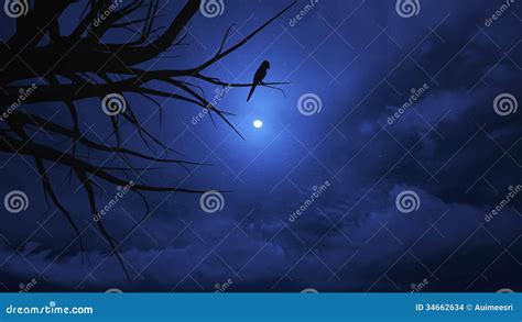 Night sky on Halloween. stock photo. Image of space, landscape - 34662634