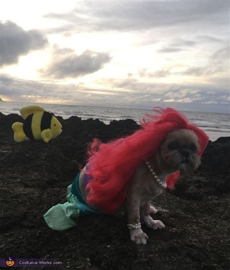 The Littlest Mermaid Dog Costume | Halloween Party Costumes