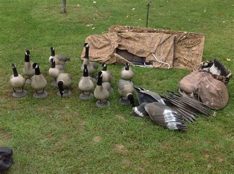 Goose Decoys/Blinds