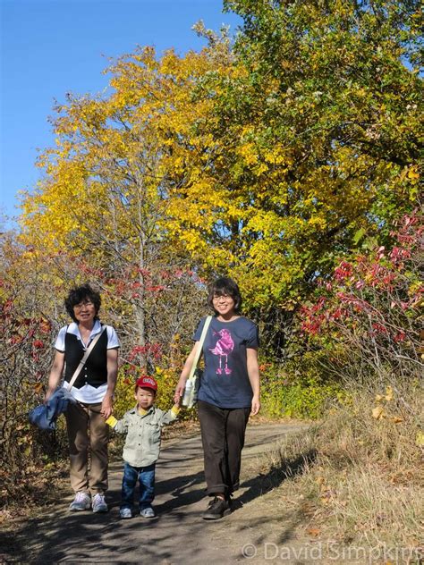 Minnesota’s Maplewood State Park - Minnesota Trails