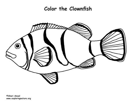 Clownfish Coloring Page