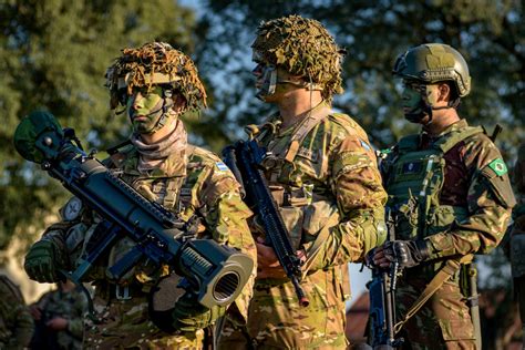 Argentina and Brazil Conduct Military Exercise Arandú - Diálogo Américas