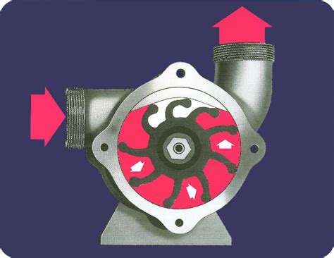 Flexible Impeller Pump Information | GM Pumps cc