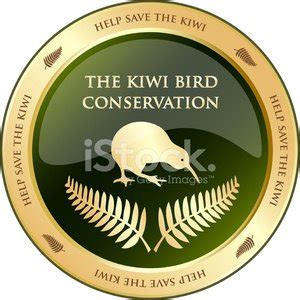 Conservation Of The Kiwi Bird Stock Vector | Royalty-Free | FreeImages