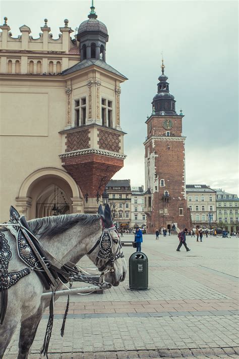 Krakow Old Town | Krakow, Old town, Towns