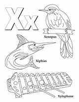 My A To Z Coloring Book  Letter X coloring Page Alphabet sketch template