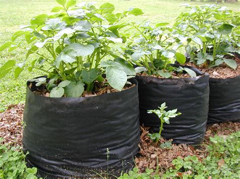 Tater Totes: Potato Grow Bags : 7 Steps (with Pictures) - Instructables