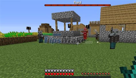 10 things you need to know about Raid in Minecraft - TipsMake.com